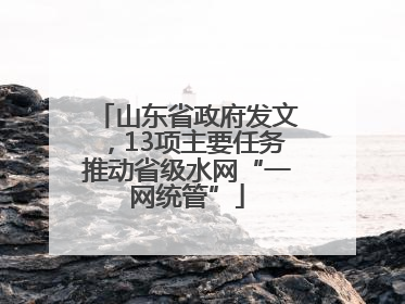 山东省政府发文，13项主要任务推动省级水网“一网统管”